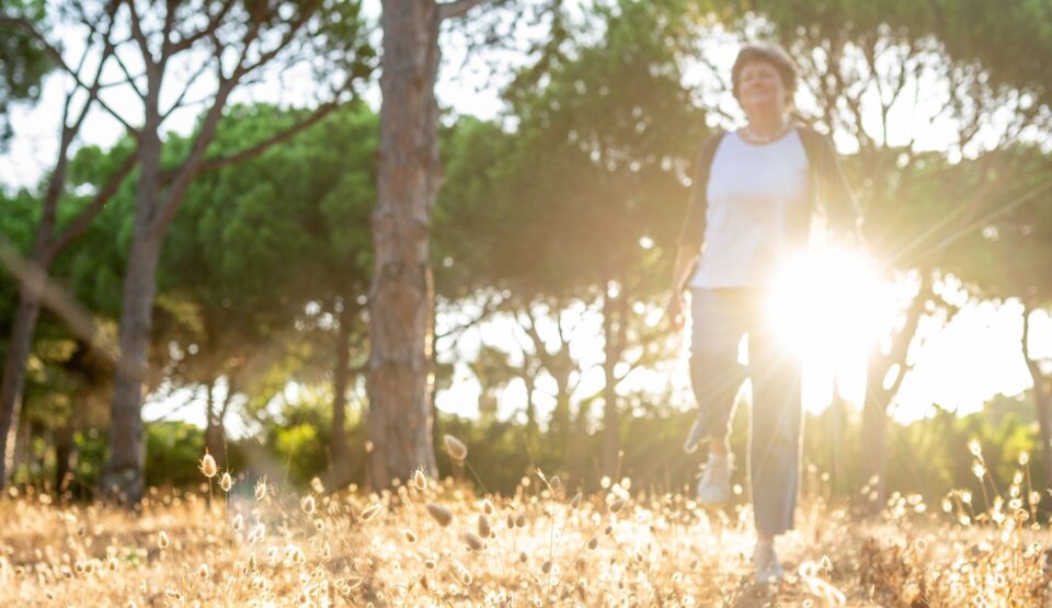 Eine Frau läuft unter Pinien dem Betrachter entgegen und hinter ihr geht die Sonne auf.